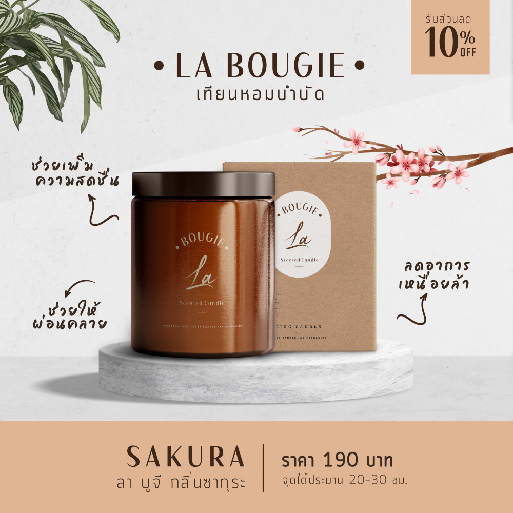 64966fbb5a9960.80869367_637102b4e56f31.12476031_Product-2